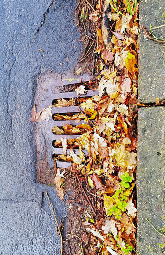 https://blockeddrainsmaylands.com.au/uploads/2025/07/stormwater-drains-48051.jpg